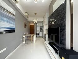 Spottiswoode Suites (D2), Apartment #550986881